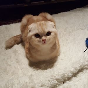 Meet your Posher, Byong